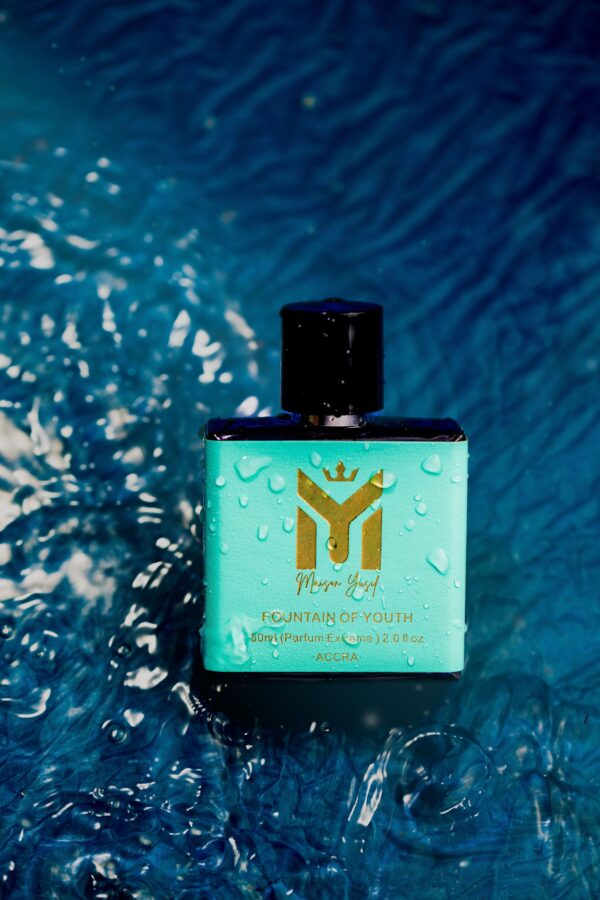 Fountain of Youth - Image 5